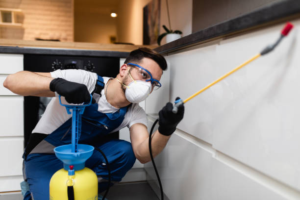 Best Pest Removal Services  in Darien, IL