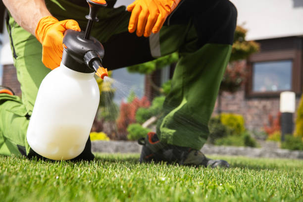 Best Pest Prevention Services  in Darien, IL