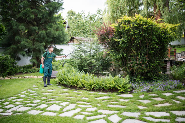 Best Wildlife Control Services  in Darien, IL