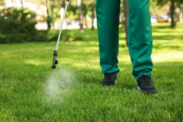 Trusted Darien, IL Pest Control Experts
