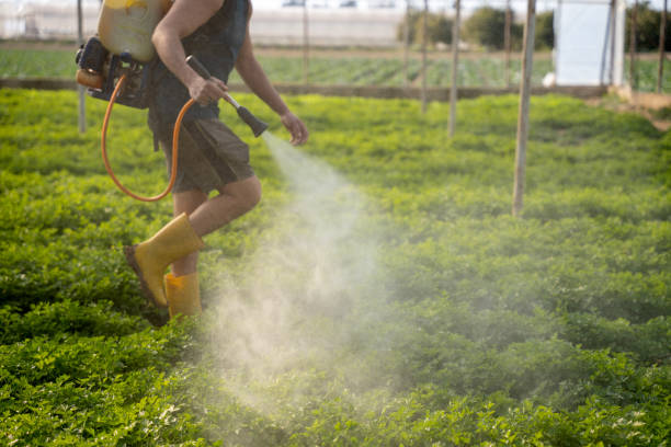 Best Pest Prevention Services  in Darien, IL