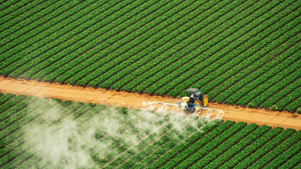 Best Pest Control for Homes  in Darien, IL