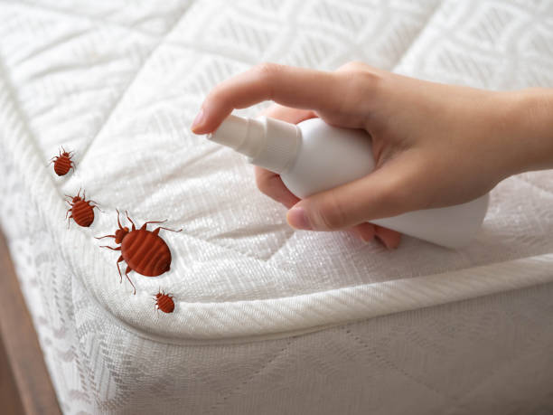 Best Termite Control Services  in Darien, IL