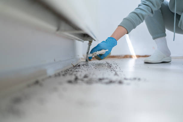 Best Affordable Pest Control Services  in Darien, IL