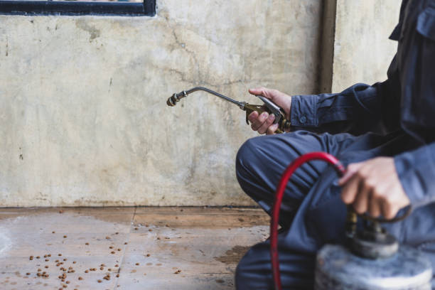 Best Local Pest Control Services  in Darien, IL