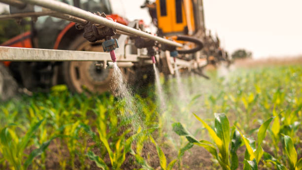 Best Mosquito Control Services  in Darien, IL